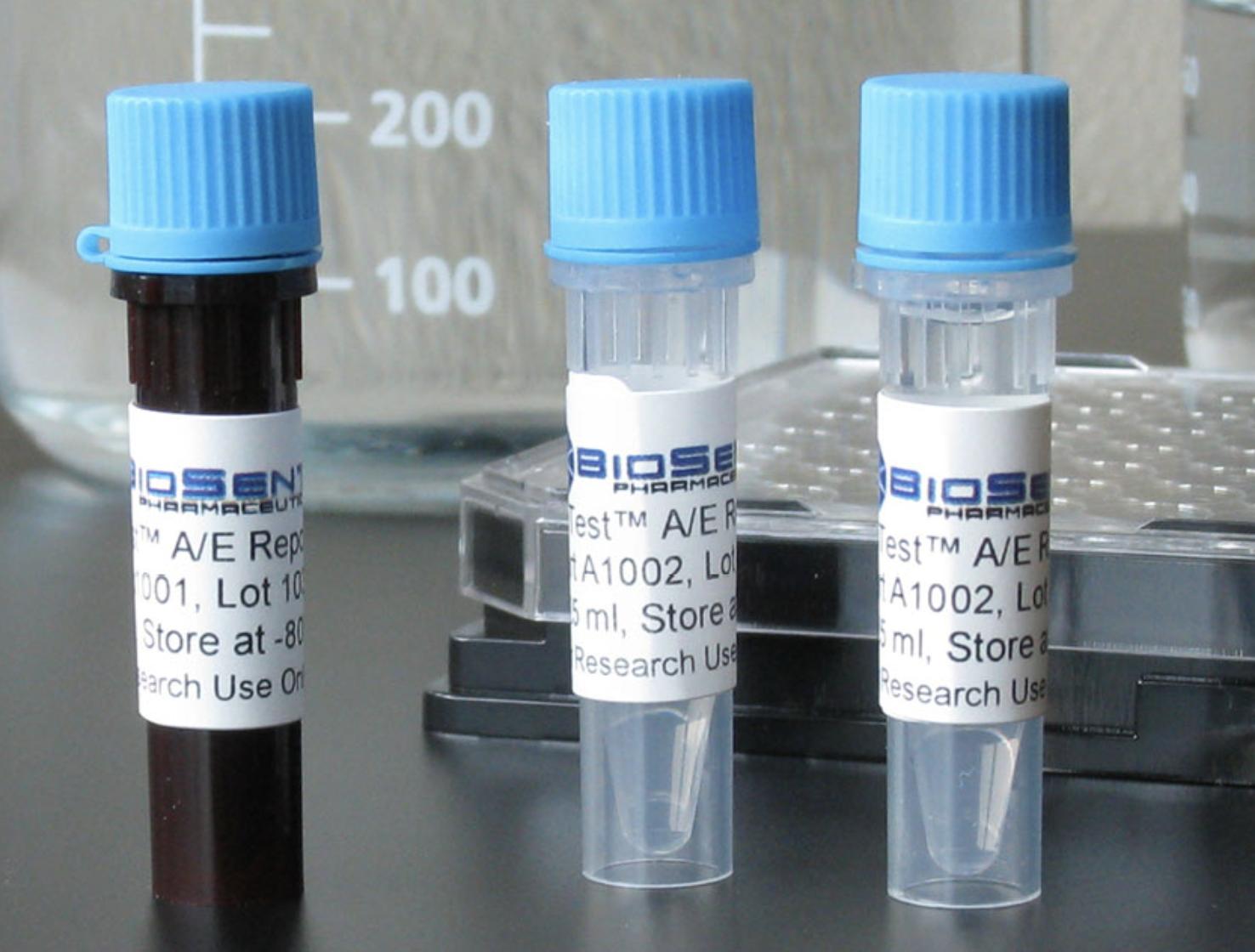 Comparison of Botulinum Toxin Detection Standards and In Vitro Alternative Methods Between the Chinese Pharmacopoeia (ChP) and the European Pharmacopoeia (EP)